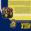 Maccabi TLV Official Championship Song 2013 צהוב עולה אליפות מכבי תל אביב - Single