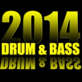 Drum & Bass 2014 artwork