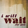 Mumford and Sons - I Will Wait