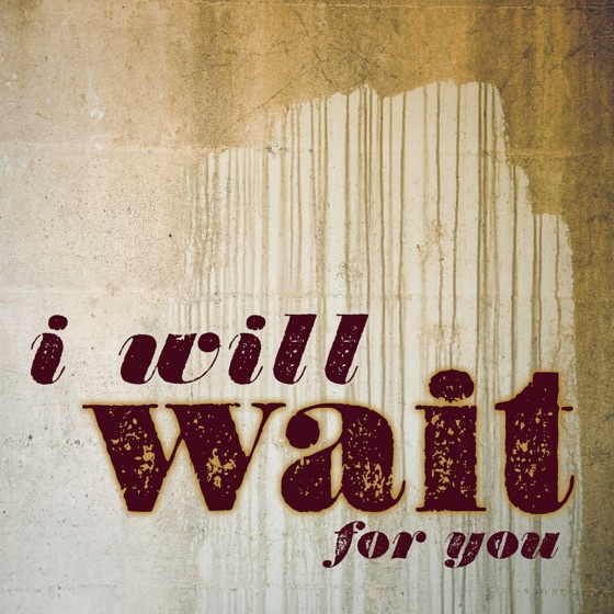 Cover artwork for I Will Wait