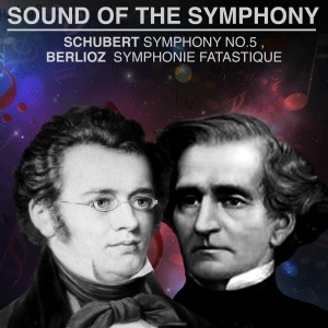 Symphony No. 5 in B-Flat Major, D 485: III. Menuetto: Allegro molto