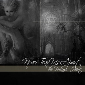 Never Tear Us Apart (Single)
