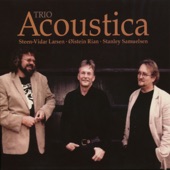 Acoustica Trio artwork