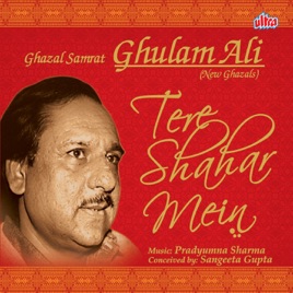 Hum tere shahar mein aaye mp3 song download