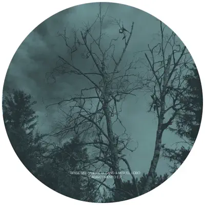 Listen to L'abbattimento - EP by Andre Butano & Miguel Lobo