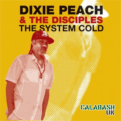 The System Cold - Single