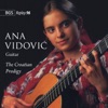 Sébastien Valter Flute Partita in A Minor, BWV. 1013: I. Allemande (arr. Valter Despalji) Ana VidoviÄ - The Croatian Prodigy