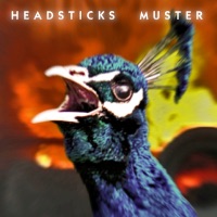Headsticks - You're Killing Me America
