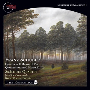 String Quintet in C Major, Op. 163, D. 956: IV. Allegretto