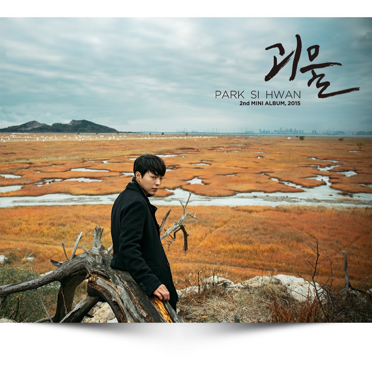 Park Si Hwan – Monster – EP