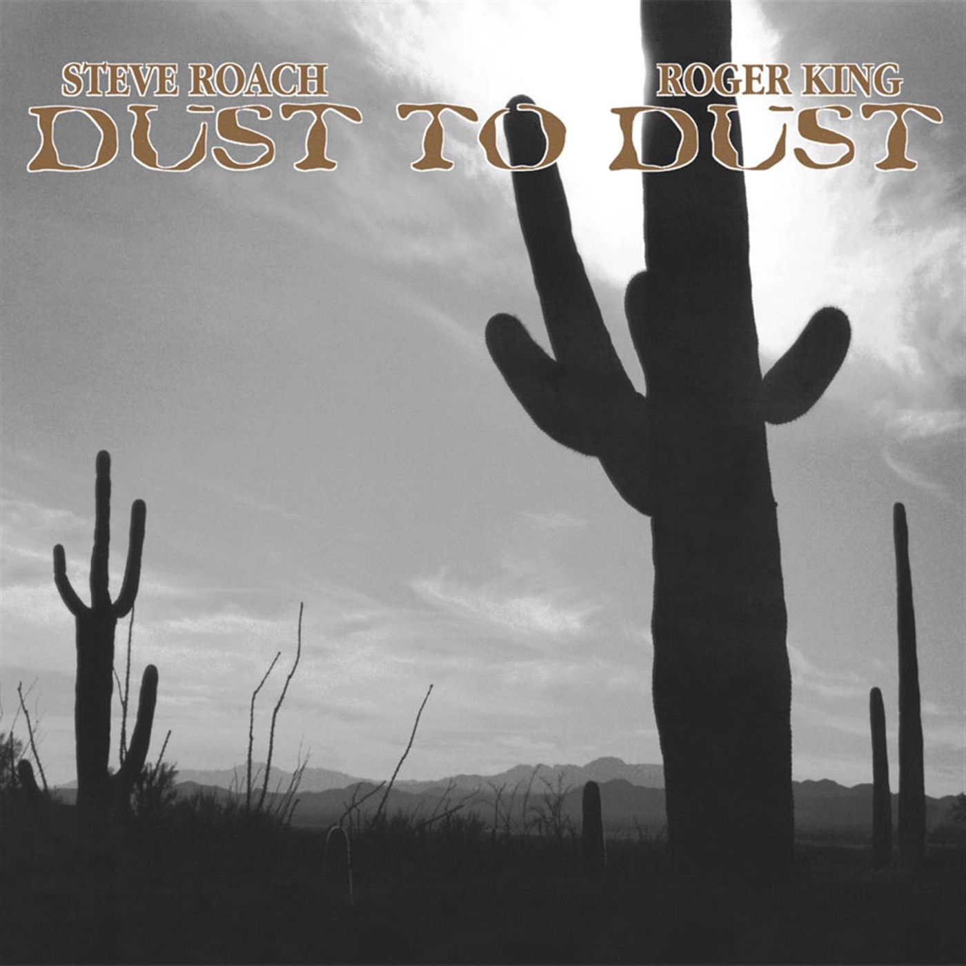 Dust To Dust by Steve Roach, Roger King