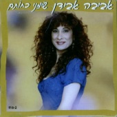 שימני כחותם artwork