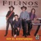 Chilito Piquin - Felinos lyrics