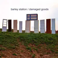 Younger Summer Memories — Barley Station