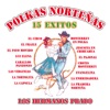 Polkas Norteñas: 15 Éxitos, 2002
