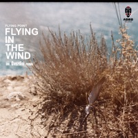 Flying in the Wind - Single - Flying Point