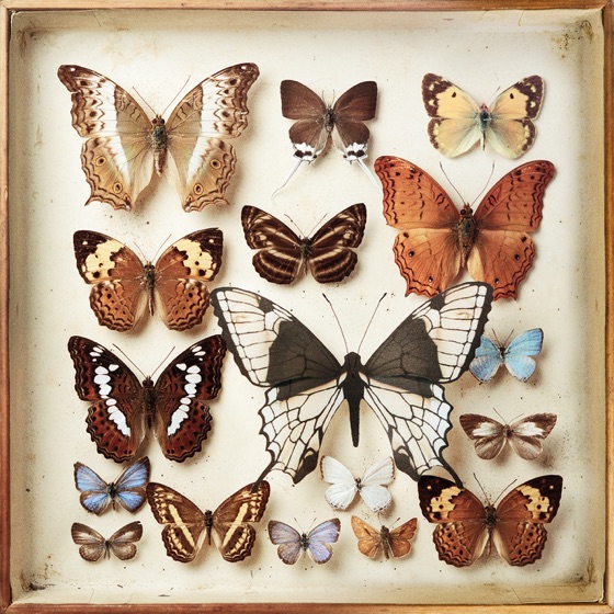 Cover artwork for Dead Things