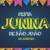 Festa na Roça / Olha pro Céu / Aquele Sâo Joâo by Ze Pipa iTunes Track 1