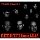 Al Mal Tiempo Buena Salsa artwork