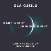 Ola Gjeilo: Dark Night - Luminous Night - EP
