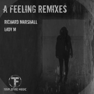 A Feeling Remixes - Single