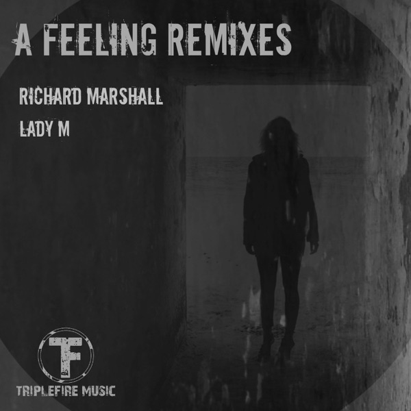 A Feeling Remixes - Single