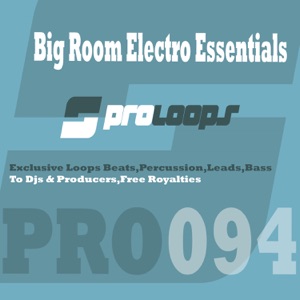 Big Room Electro Essentials DJ Tools