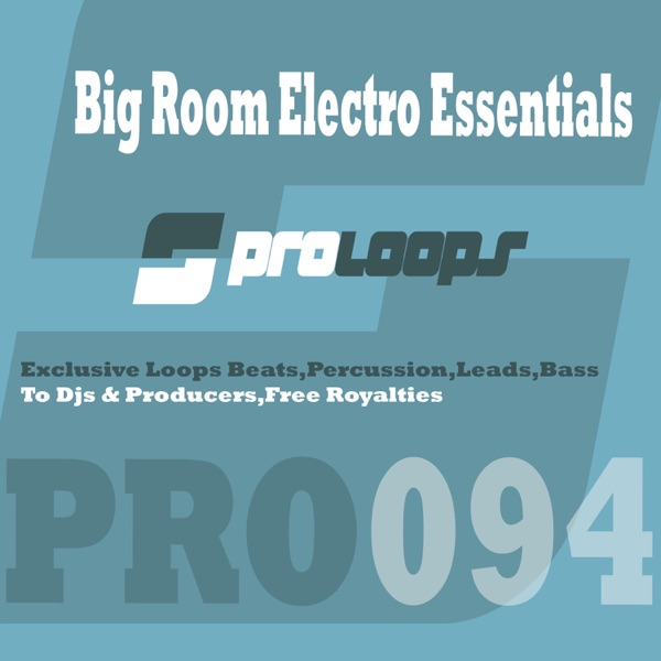Big Room Electro Essentials DJ Tools