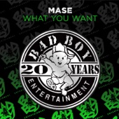 What You Want (Instrumental) artwork