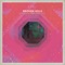 Holding On for Life (Solomun Radio Remix) - Broken Bells lyrics