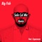 Solo col Mic (feat. Caparezza) [Remix] - Single - Big Fish lyrics