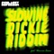 Dickie Riddim (feat. Warrior Queen) - Schlachthofbronx lyrics