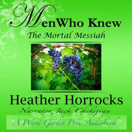 Men Who Knew the Mortal Messiah: Stories of 12 Men from the New Testament (Unabridged)