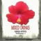 Devina Burn Featuring Macka Diamond - You Like It - Devina Burn lyrics
