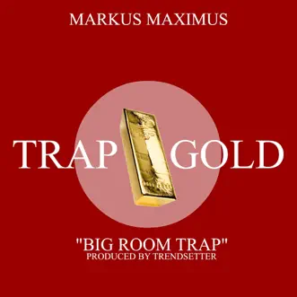 Big Room Trap (feat. Get Futuristic) [Trendsetter Festival Remix] by Markus Maximus, Get Futuristic & Trendsetter song reviws