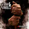 Surcos