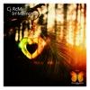 Cj RcM - In Memories
