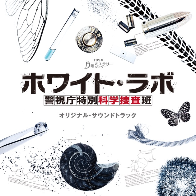 ホワイト・ラボ 警視庁特別科学捜査班　全巻／全6巻　DVDレンタルUP ホワイト・ラボ 警視庁特別科学捜査班 全巻／全6巻 DVDレンタルUP