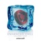 Alpine (Lukas Termena's Balearic Remix) - Fast Distance lyrics