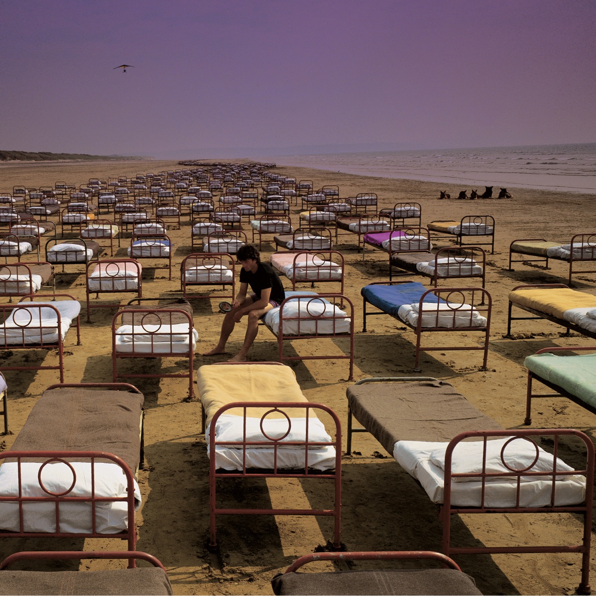 A Momentary Lapse of Reason Album Cover by Pink Floyd
