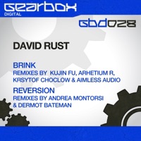 Brink - David Rust