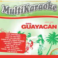 Te Amo Te Extraño — Multi Karaoke