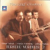 SÖZ BULAMADIM