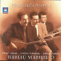SÖZ BULAMADIM — ŞAHİN AYDIN