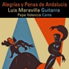 Luis Maravilla - Noche en Santa Cruz