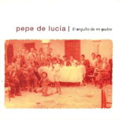Morir de Pasión (feat. Vicente Amigo)