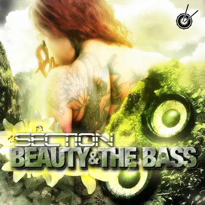 Beauty - Single - Section