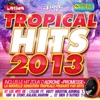 Tropical Hits 2013
