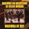 Marimba los Mecateros de Oscar Moreno