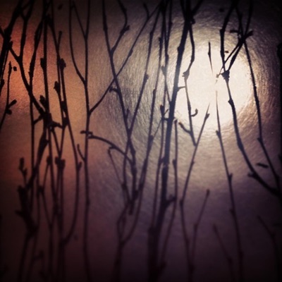 Tea Leaf Tales - Single